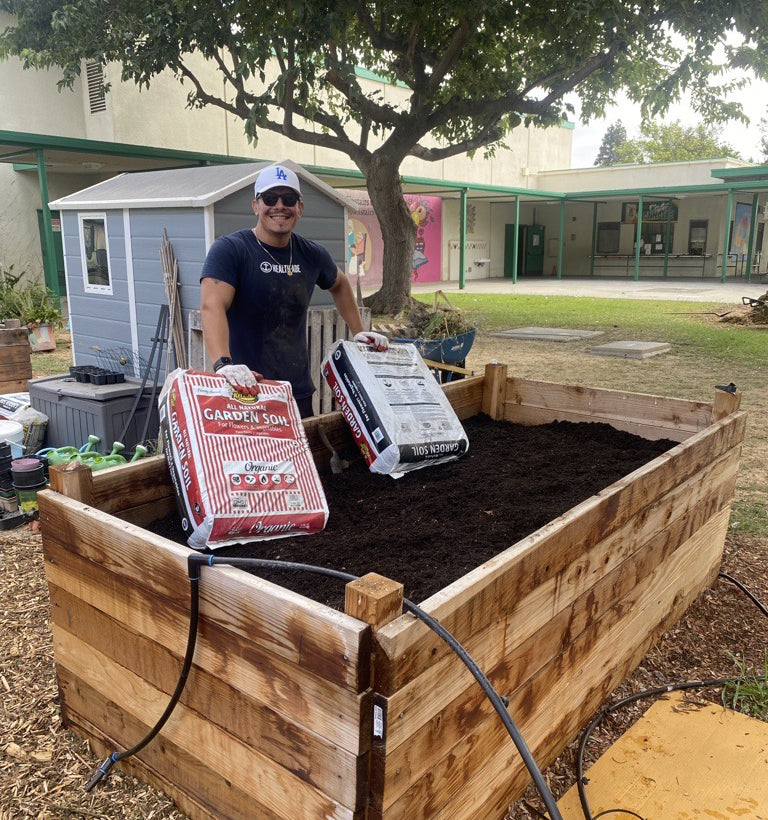 What Are We Doing to Help?