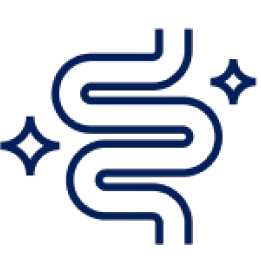 No Artificial Sweeteners, Flavors, or Colors