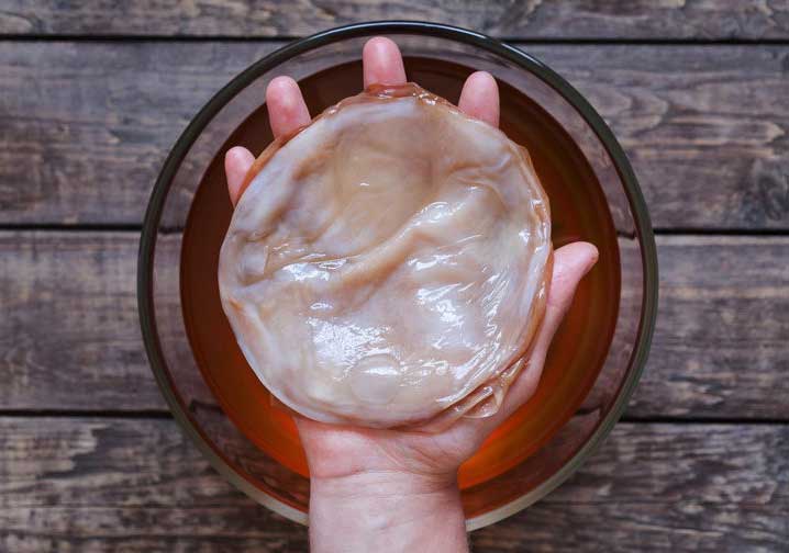 What Is Kombucha, Anyway? If You Still Don’t Know, Now You Will.