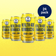 Ginger-Lemon Kombucha in Cans (24 pack) Health-Ade 