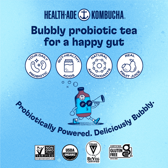 Ginger Spice and Everything Nice Kombucha Health-Ade 