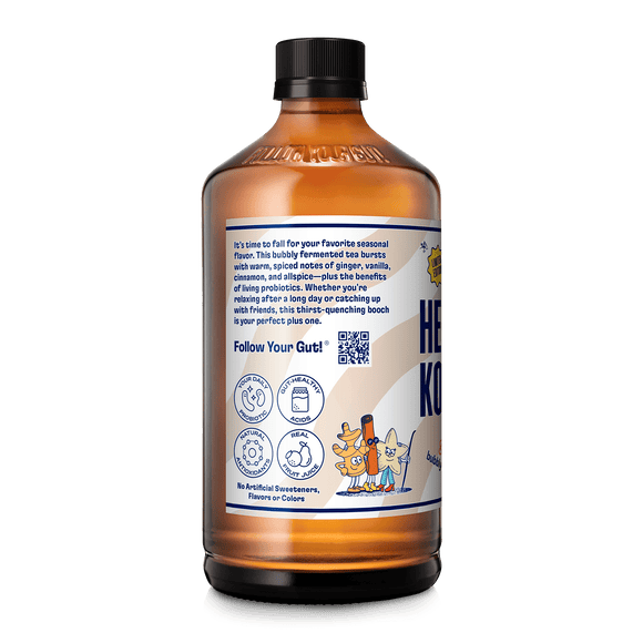 Ginger Spice and Everything Nice Kombucha Health-Ade 